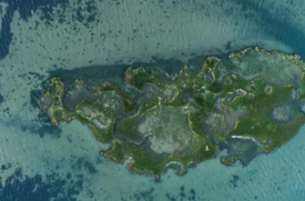 Emerald Bracelets article